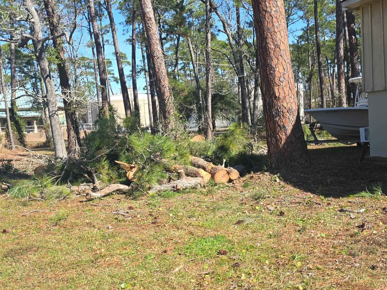 A&F Tree Services Llc